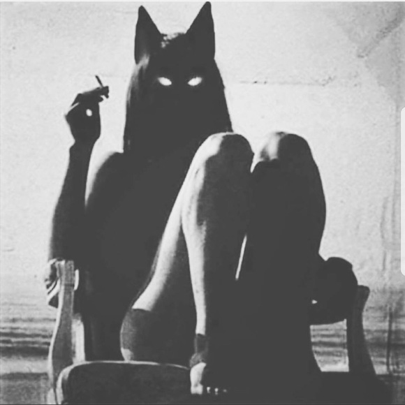 Meet your Posher, Blue - Picture 1 of 1